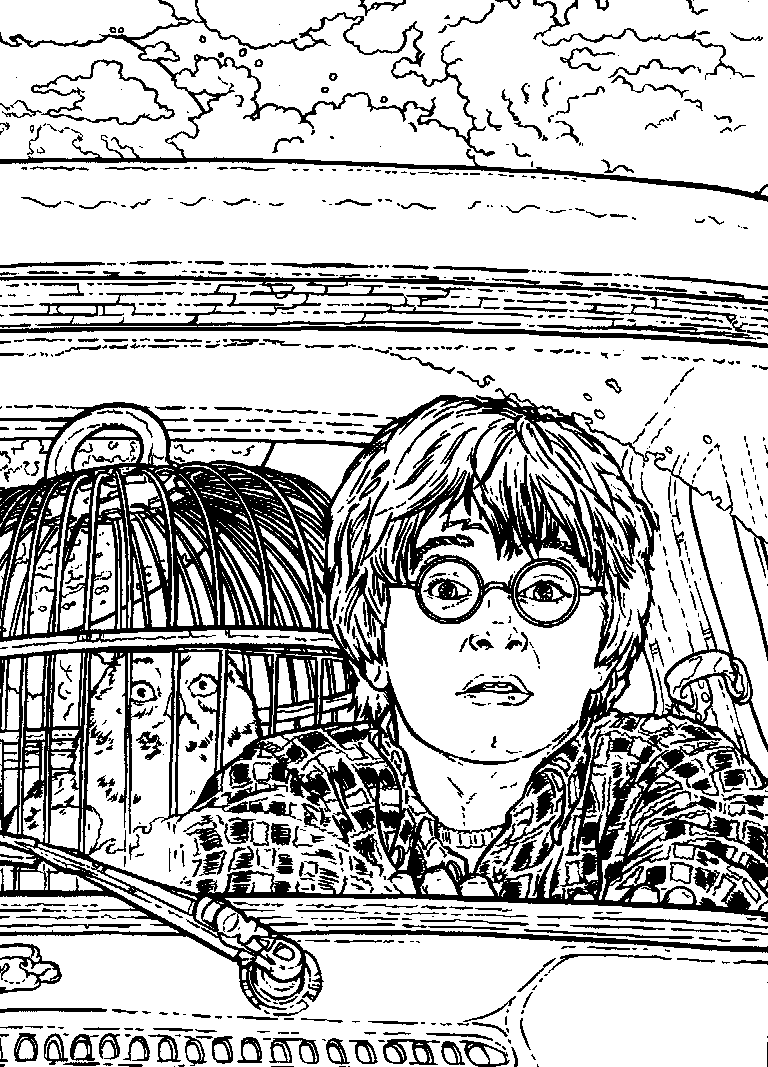 Print Harry Potter en de Geheime kamer kleurplaat
